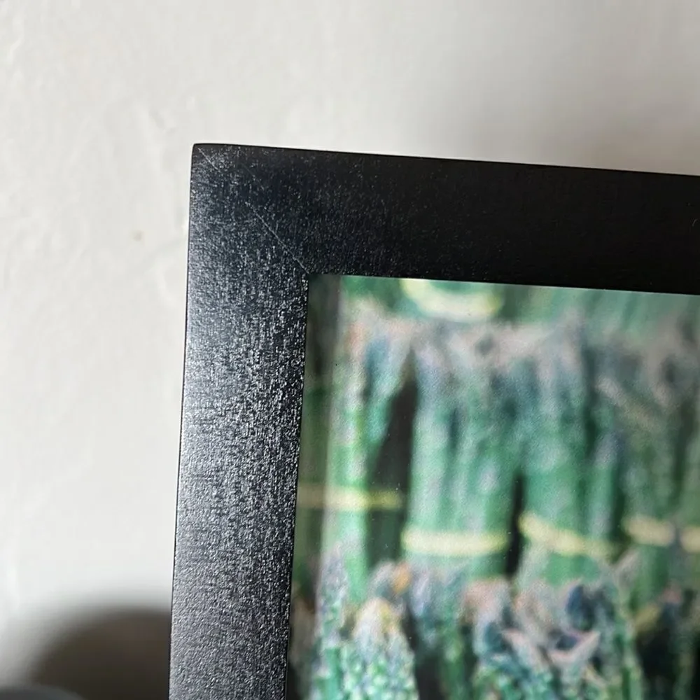 Pottery Barn Asparagus Justine Milton 11x13